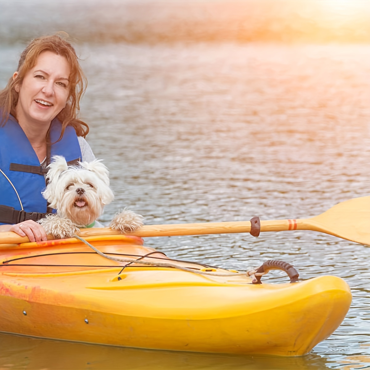 Набор из двух предметов, ручка – обзор и цена Fishing Kayak Anchor
